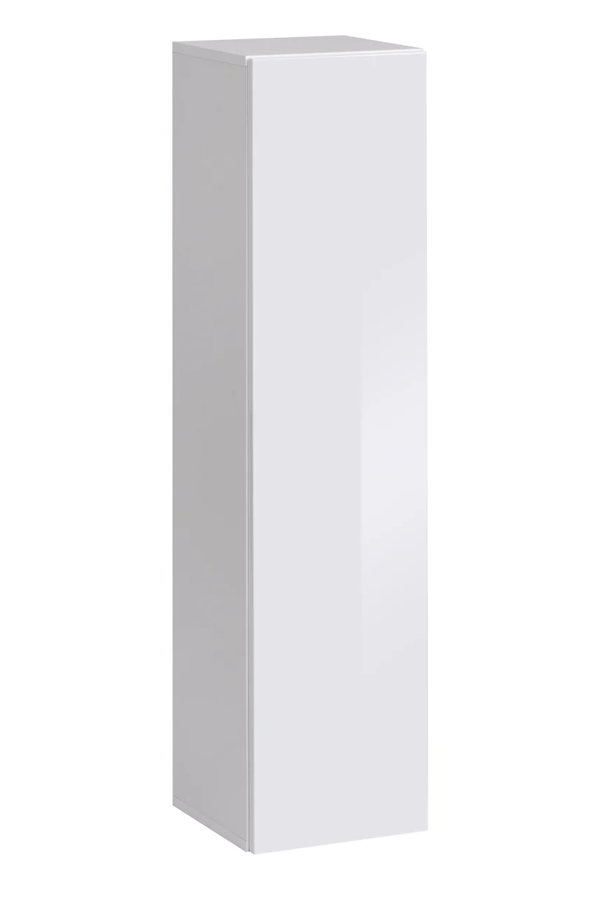 Switch SW2 Tall Cabinet 30cm
